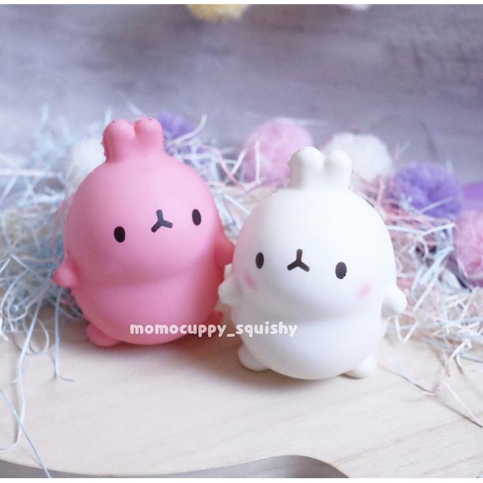 molang super soft