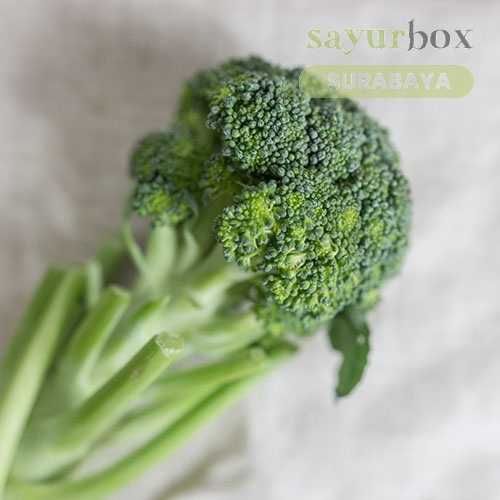 

Brokoli Konvensional 250 gram (Sayurbox) - SURABAYA