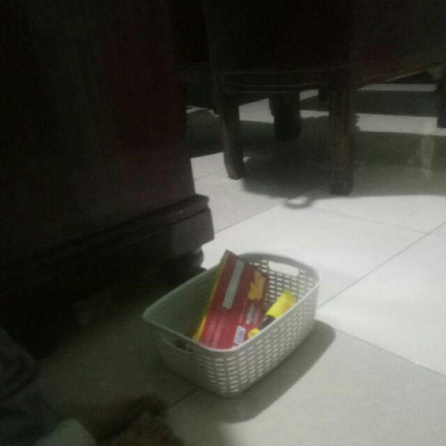 Benih Bibit Biji Terong Torino Ungu Panjang Kemasan Alumunium Foil