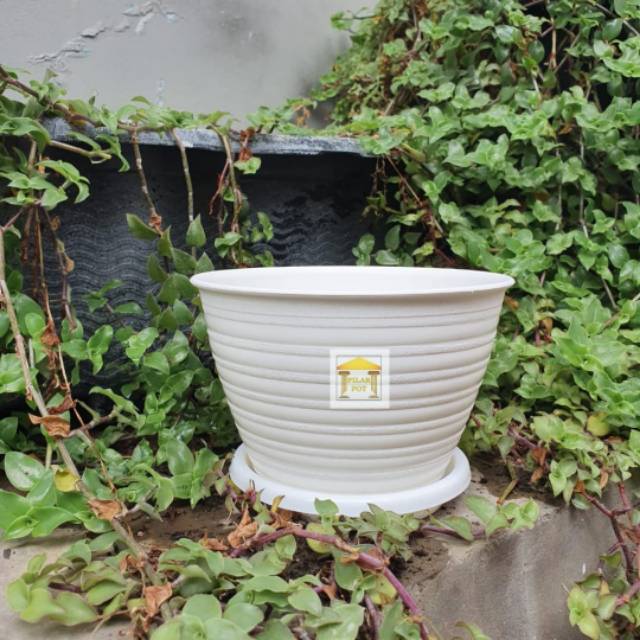 POT BUNGA TANAMAN MOTIF TAWON PUTIH 12CM BUDI JAYA + TATAKAN PUTIH
