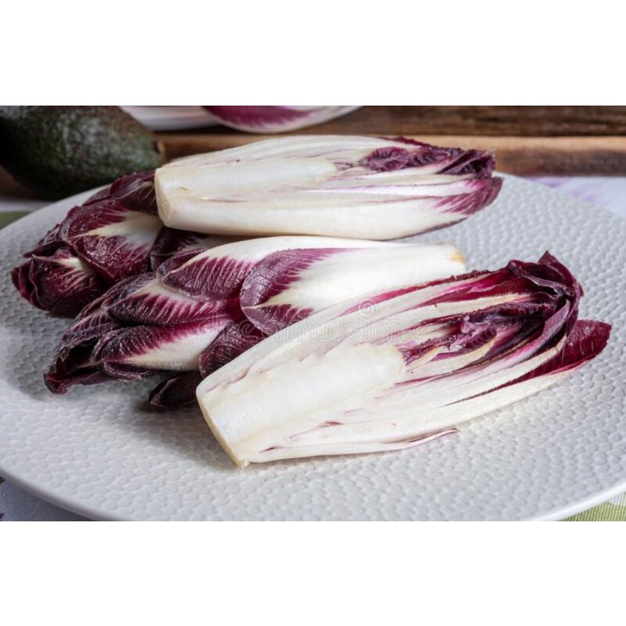 Benih-Bibit Chicory Endive Gourmet Mix (Haira Seed)