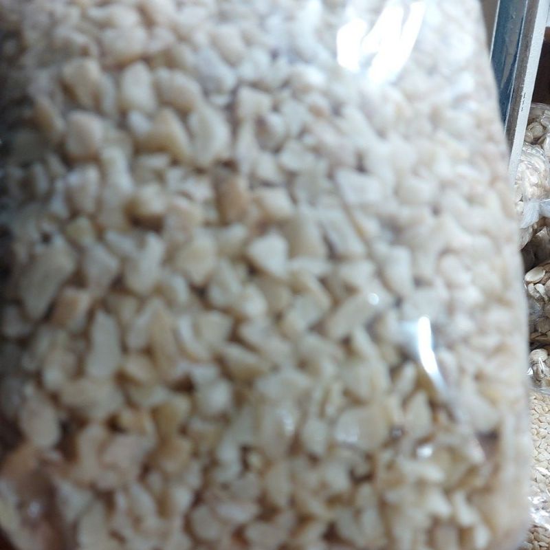 

MENIR/KEMIRI MENIR FRESH 500GR