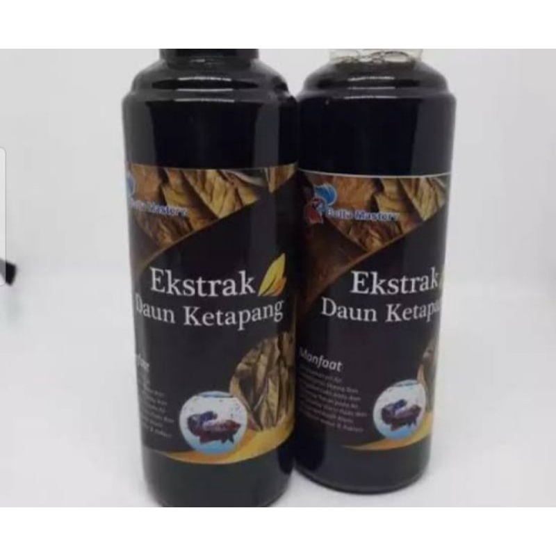 AIR KETAPANG ( EKSTRA KETAPANG LAUT )