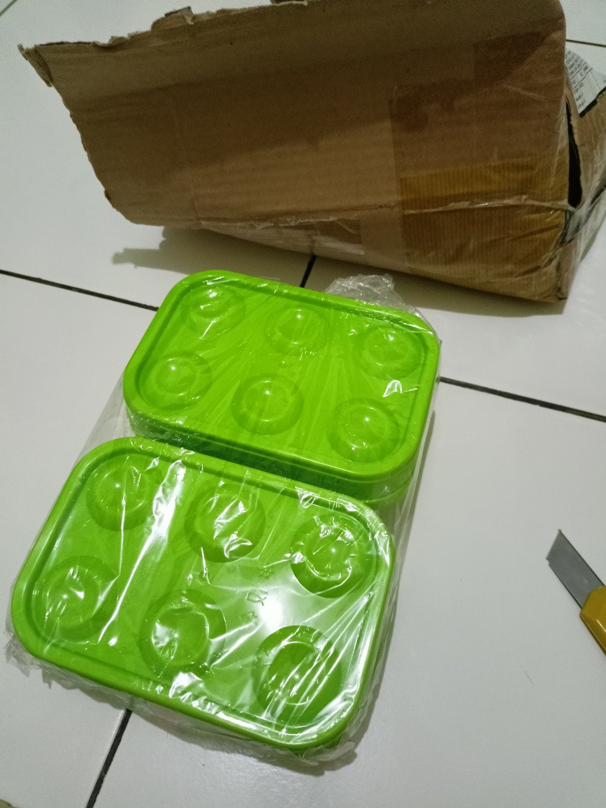 Tempat Telur Isi 6 Golden Sunkist