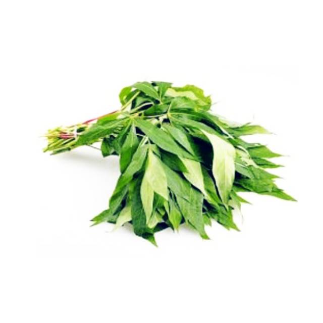 

Daun Singkong (per Ikat )