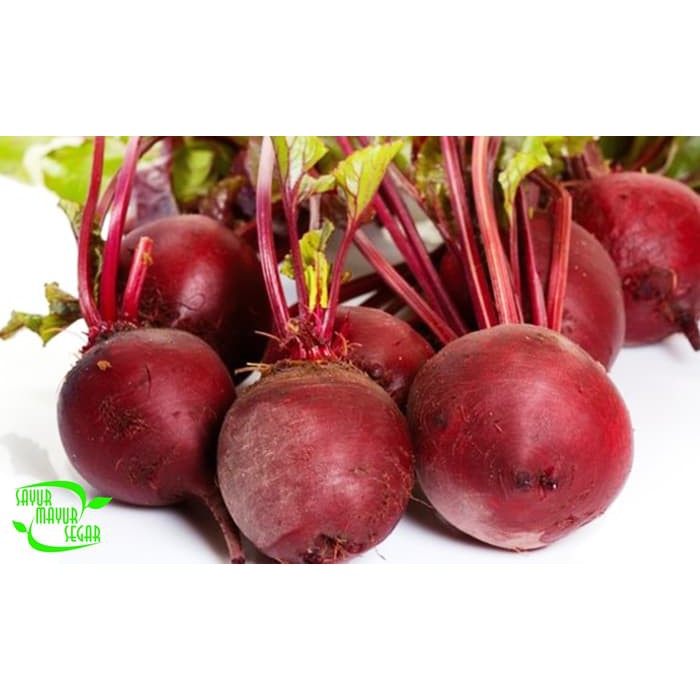 

Buah Bit / Beet Root Fresh untuk kesehatan
