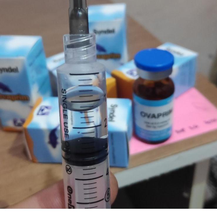 Sudah READY.. ovaprim syndel ecer/ml