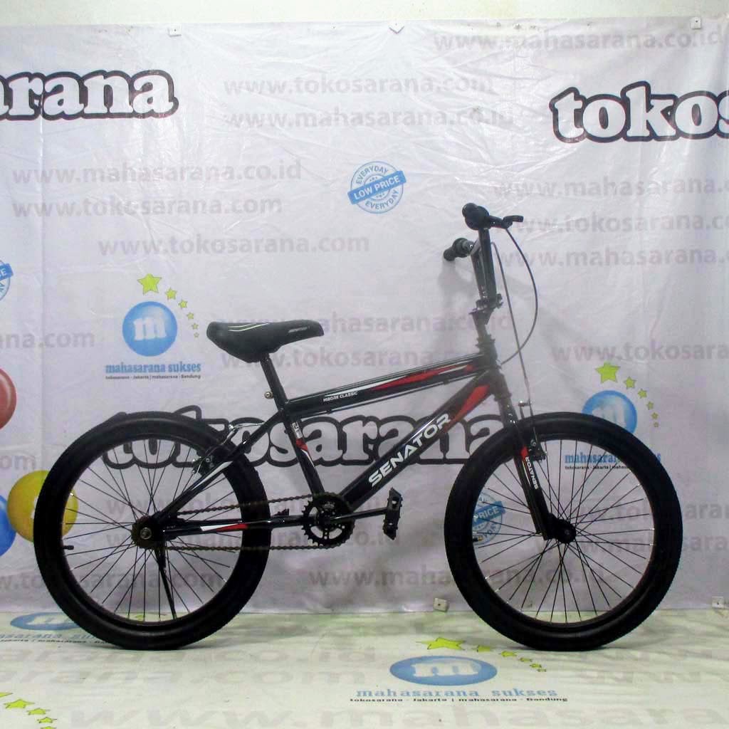 totem bmx 20