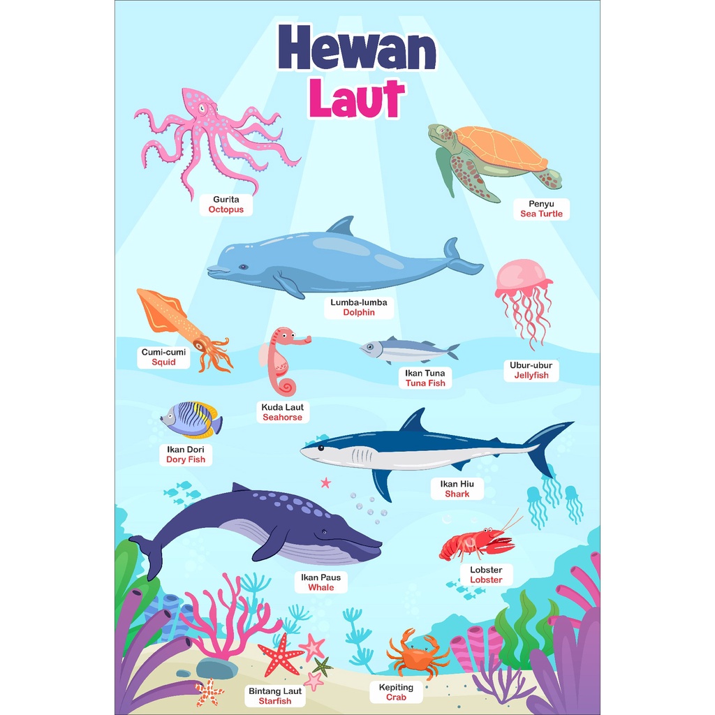 poster edukasi anak hewan laut