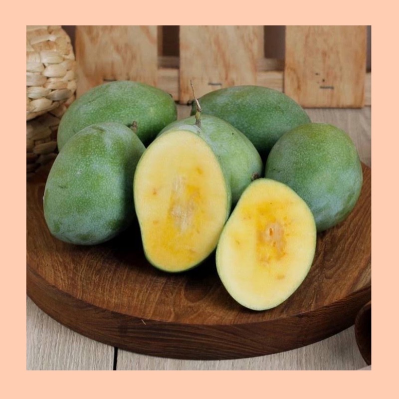 

Mangga manalagi / buah mangga manalagi