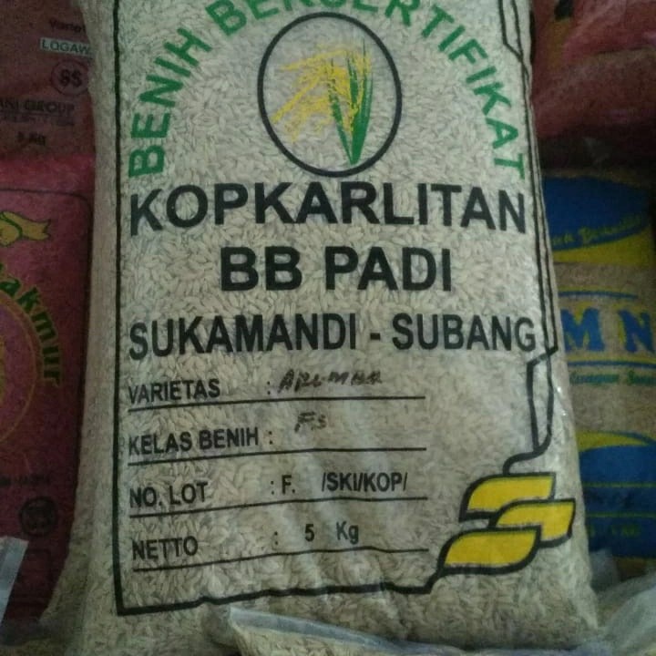 BENIH PADI ARUMBA BIBIT PADI UNGGUL 5 KG BERAS MERAH