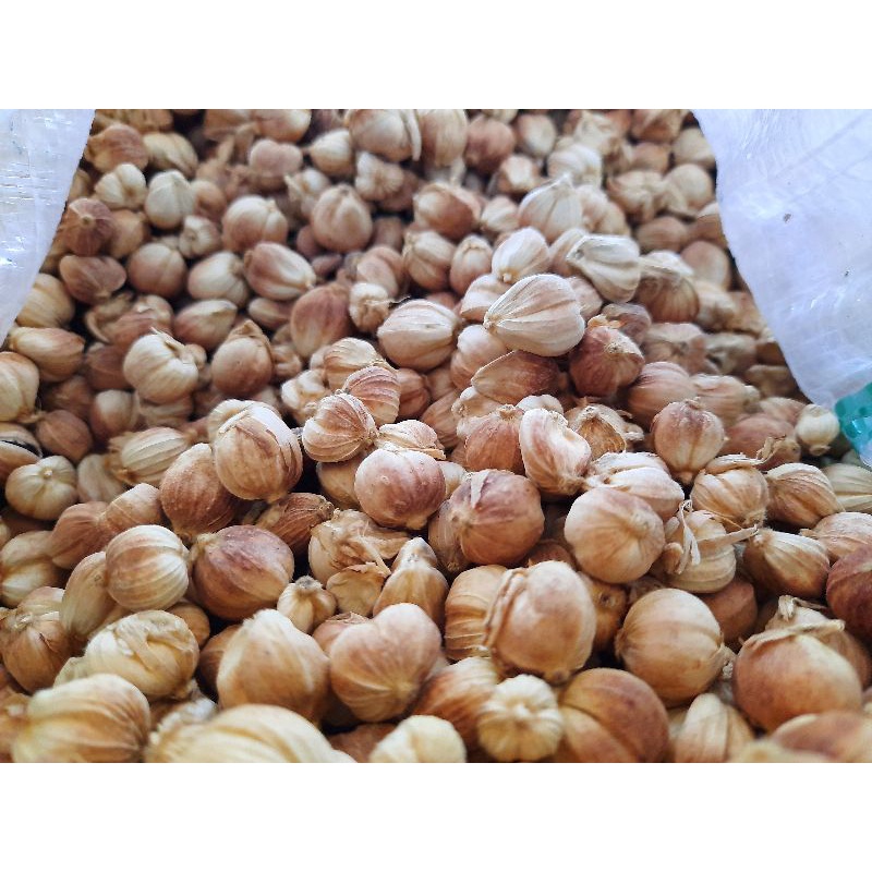 

Kapulaga Kapolaga Organik 1kg Kering Original