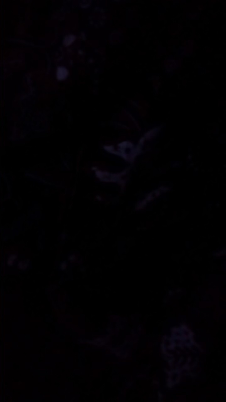 Perwira Kemeja Batik Pria Lengan Panjang Katun Halus Full Furing Batik Kanaya