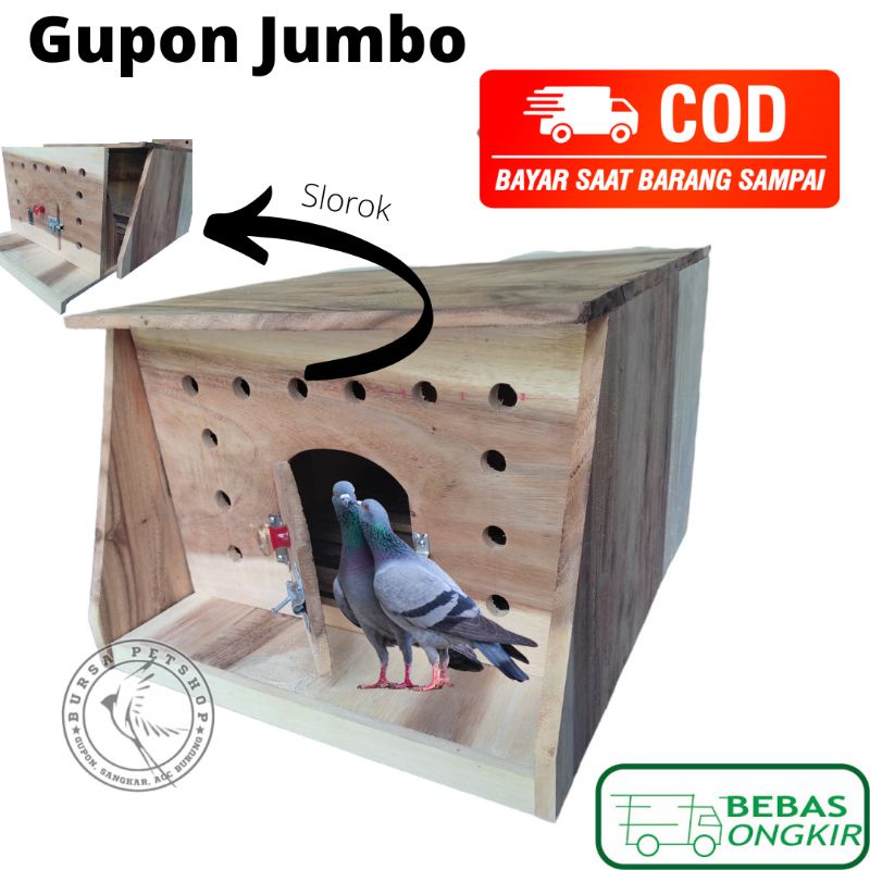 Gupon Merpati / Tong Dara / Box Merpati