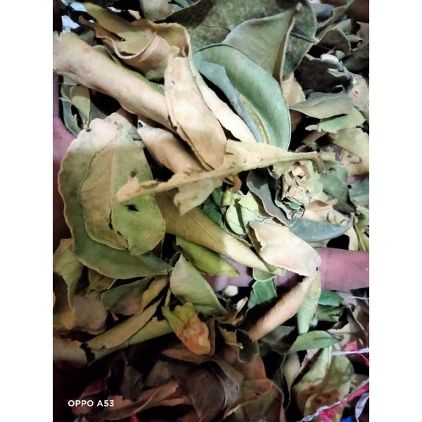

Daun Jeruk Purut Kering Mati 1Kg