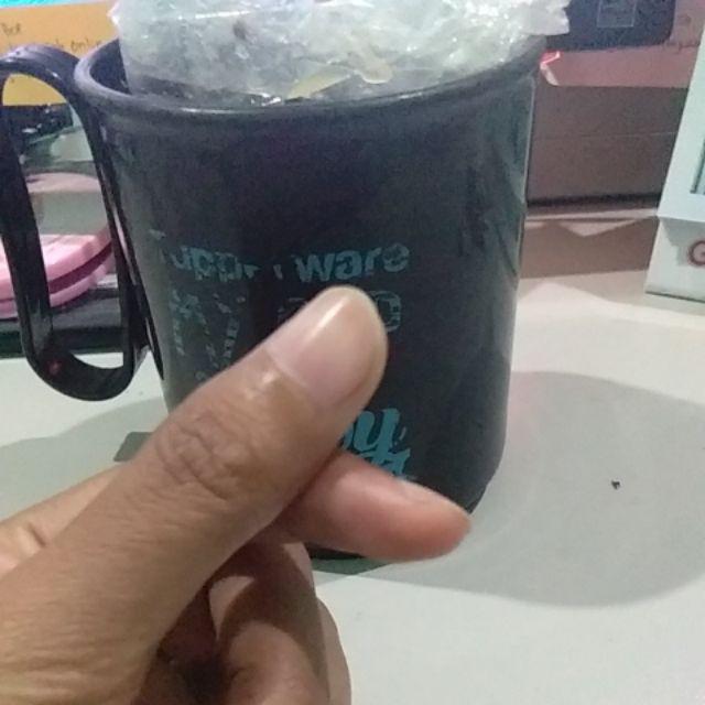 Souvenir Talenan Mini