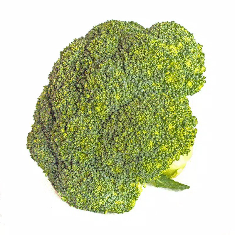 

Brokoli (500 gr)