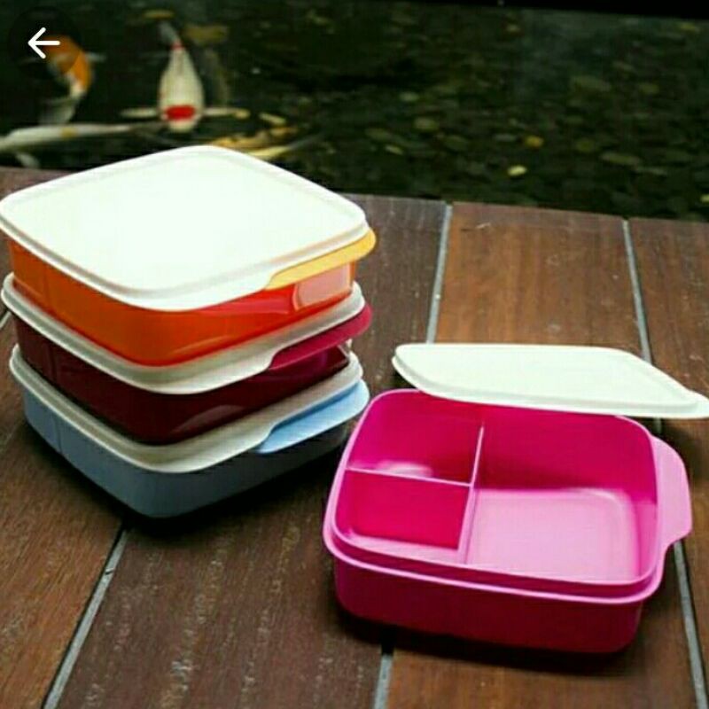 Lolly tupperware/kotak makan bersekat