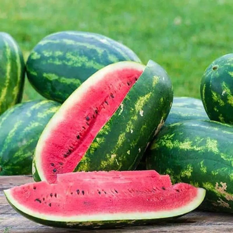 Арбузы жидкий. Watermelon High quality Арбуз. Арбузы фирмы Watermelon High quality. Арбуз в воде. Watermelon Hytec Seeds.