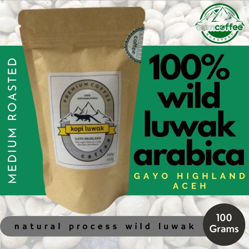 

kopi luwak liar arabika gayo