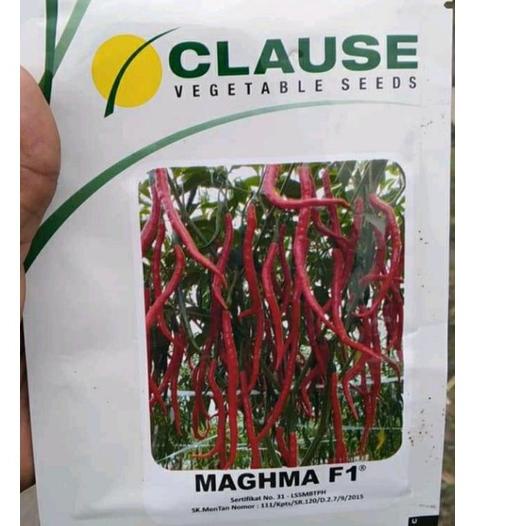 Stok terbatas.. benih cabe keriting maghma f1 10 gr