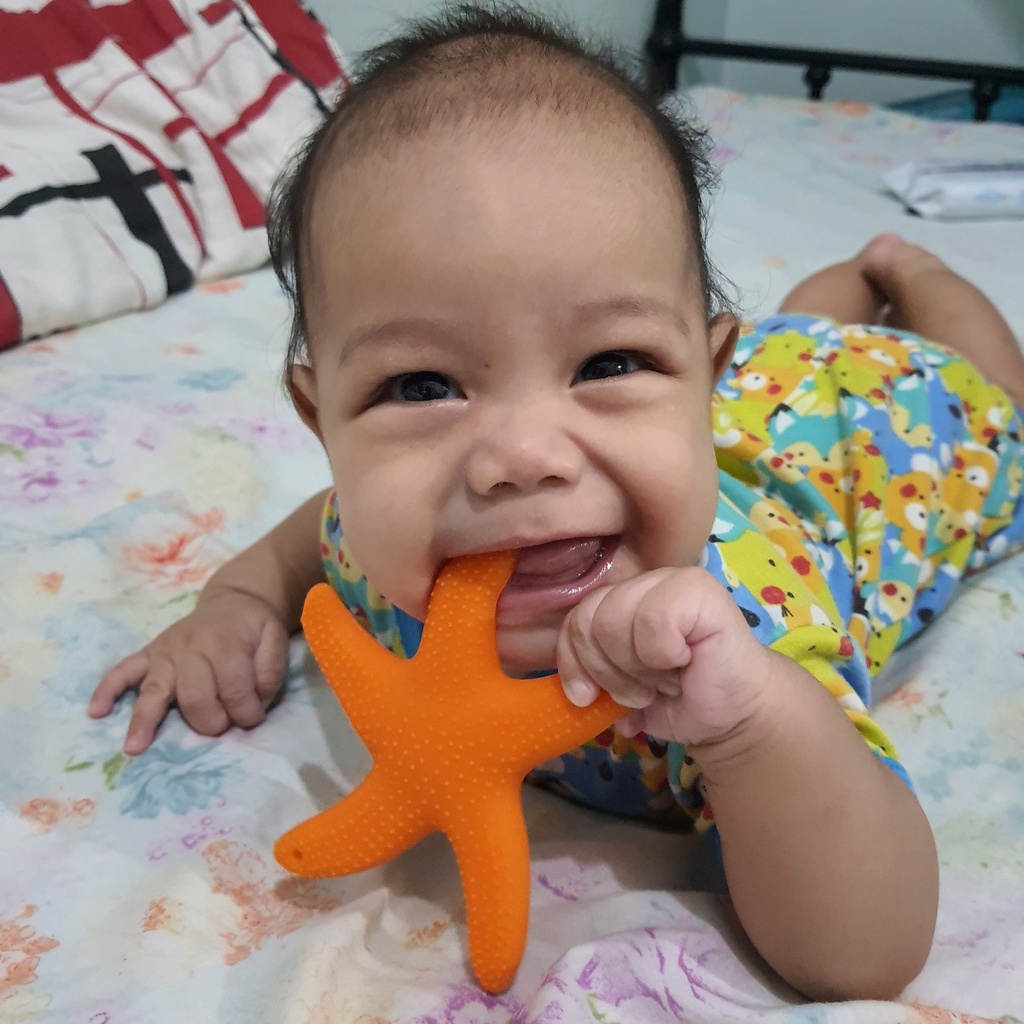 Starfish Silicone Teether Mainan Gigitan Anak Bayi Bentuk Bintang Laut 100% Silikon Food Grade