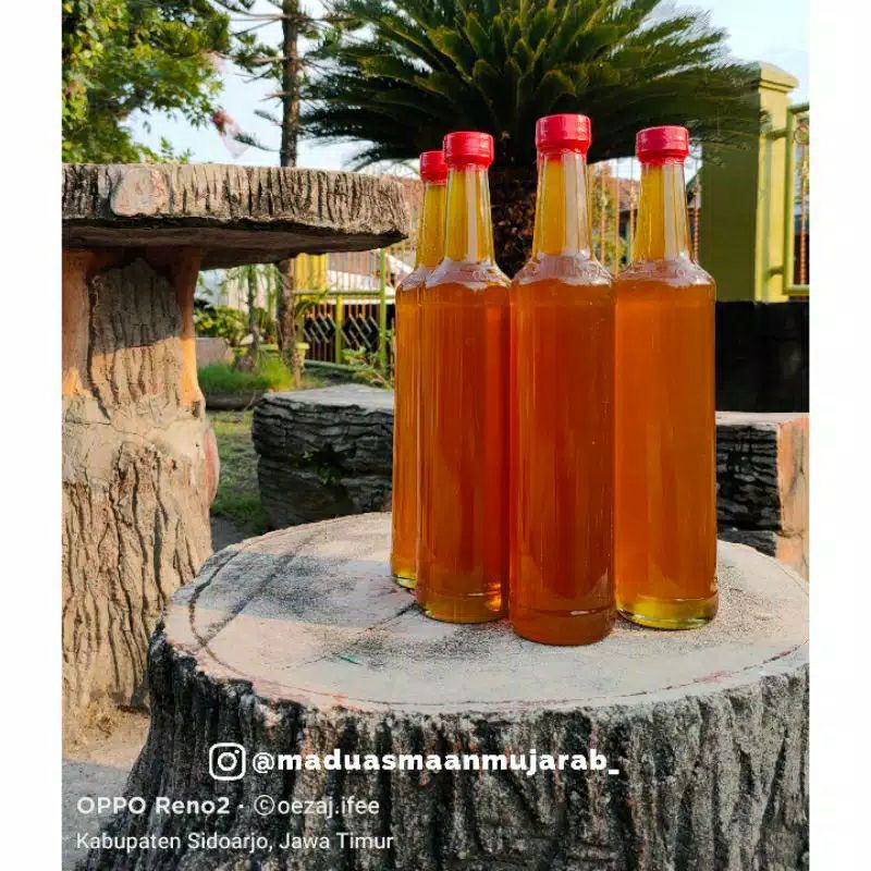 

Madu Asmaan Mujarrab