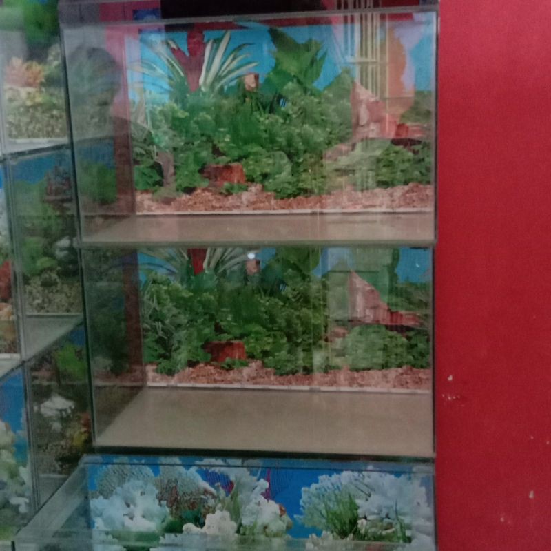 Aquarium 50x25x30 background