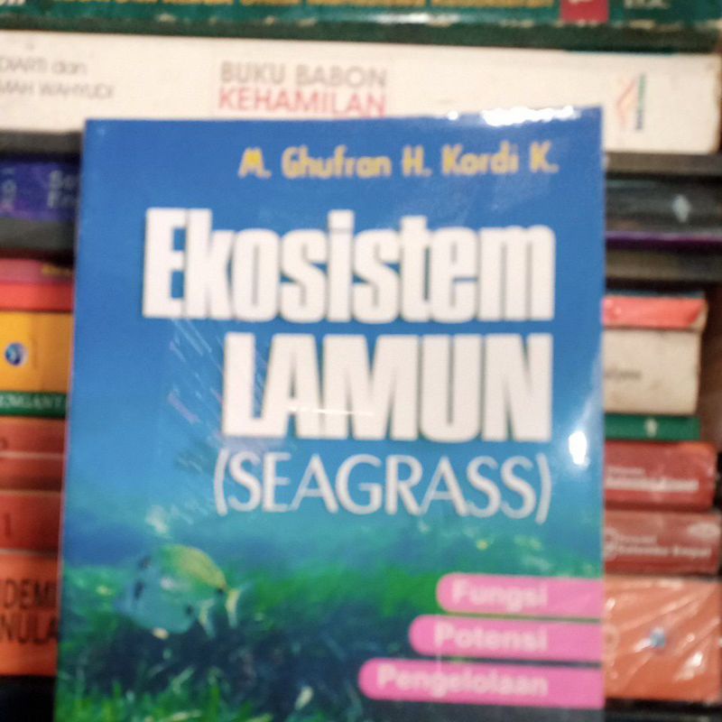 Ekosistem LAMUN SEAGRASS