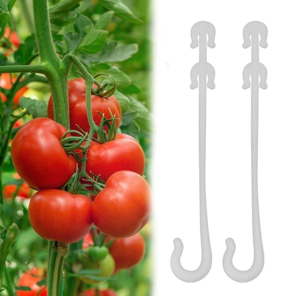 [Elegan] Tomat Ear Hook Teralis 100 Pcs Kait Buah Tetap Gesper Tomat Dukungan Sayuran Penyangga Pengikat Klip