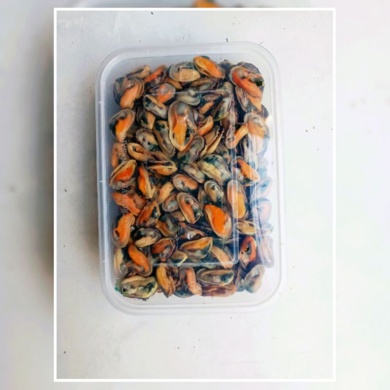 

Kerang hijau kupas segar