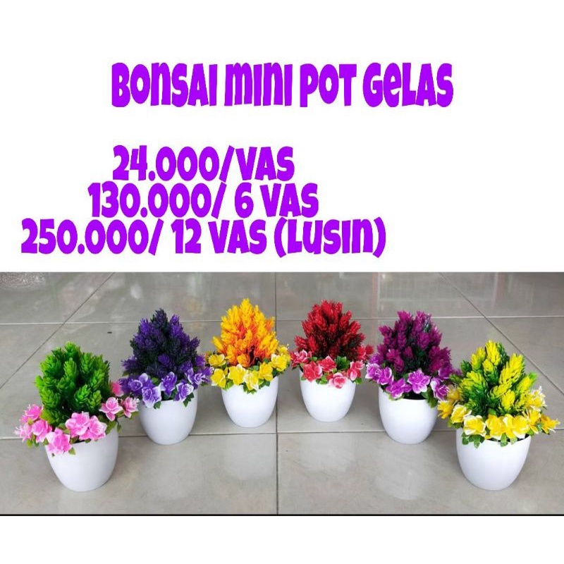 Bonsai mini pot gelas bonsai new