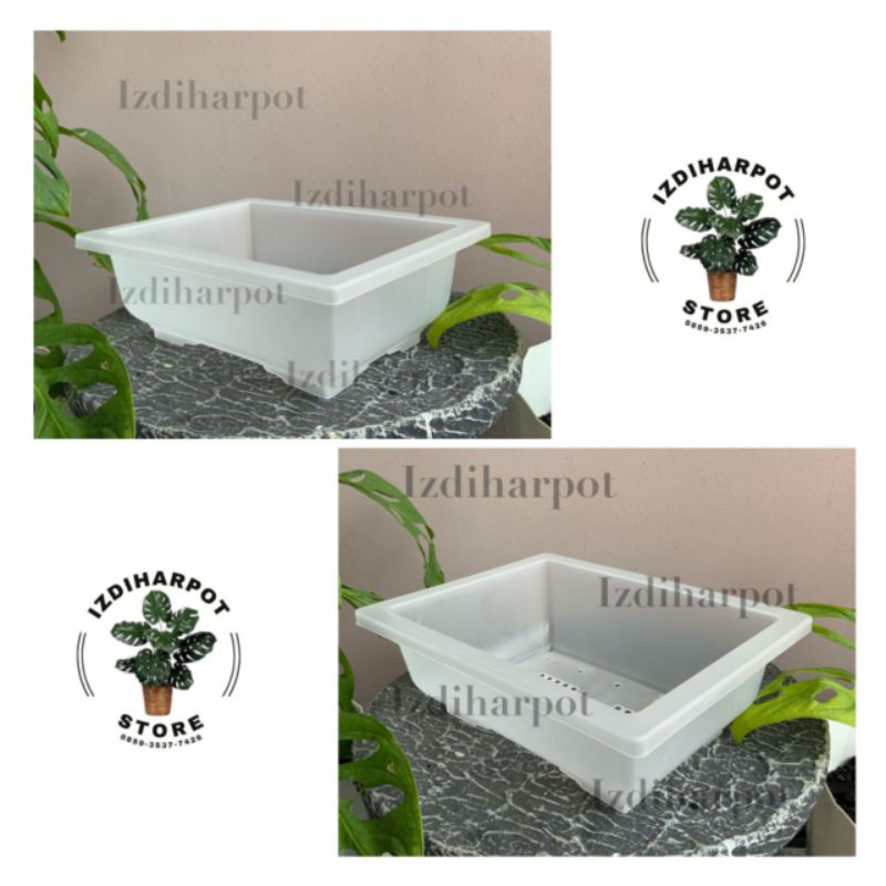 pot bunga tanaman ceper NKT BONSAI BENING TRANSPARAN - NKT BONSAI 01
