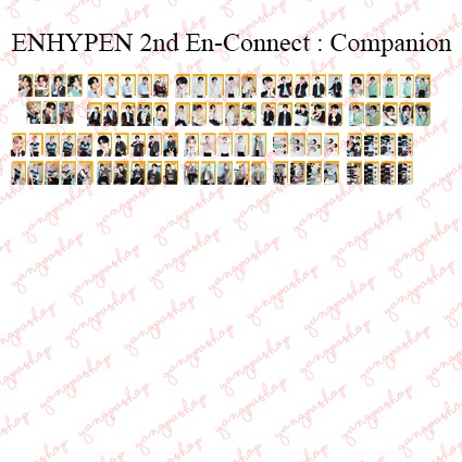 [READY / SET] ENHYPEN 2ND EN-CONNECT : COMPANION PHOTOCARD FAN MADE UNOFFICIAL YANGPASHOP EN CONNECT