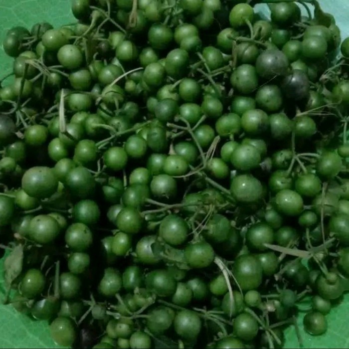 

LEUNCA - 250 gr