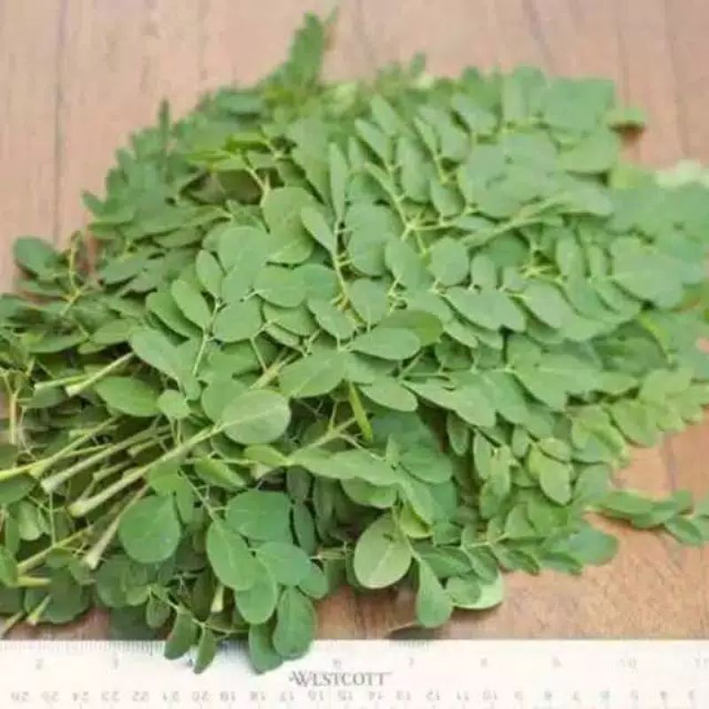

Daun Kelor Fresh / Daun Kelor Segar / Daun Kelor Murah