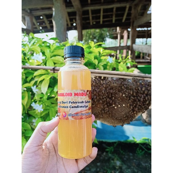 

Madu Murni Nektar Bunga Kaliandra 250ml