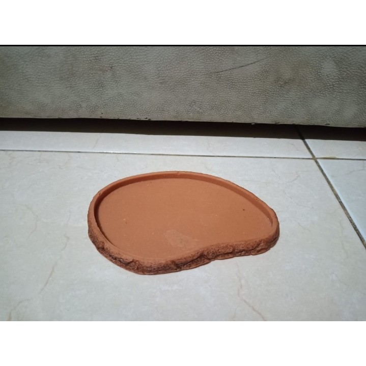 Feeding Dish - tempat makan kura kura / reptil Medium