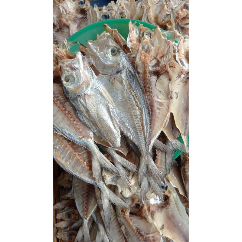 

Ikan Asin Garujak