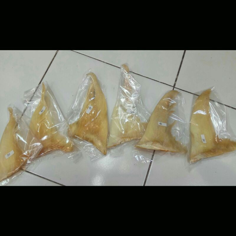 

Hisit / Sirip Ikan Kering - 100 gr