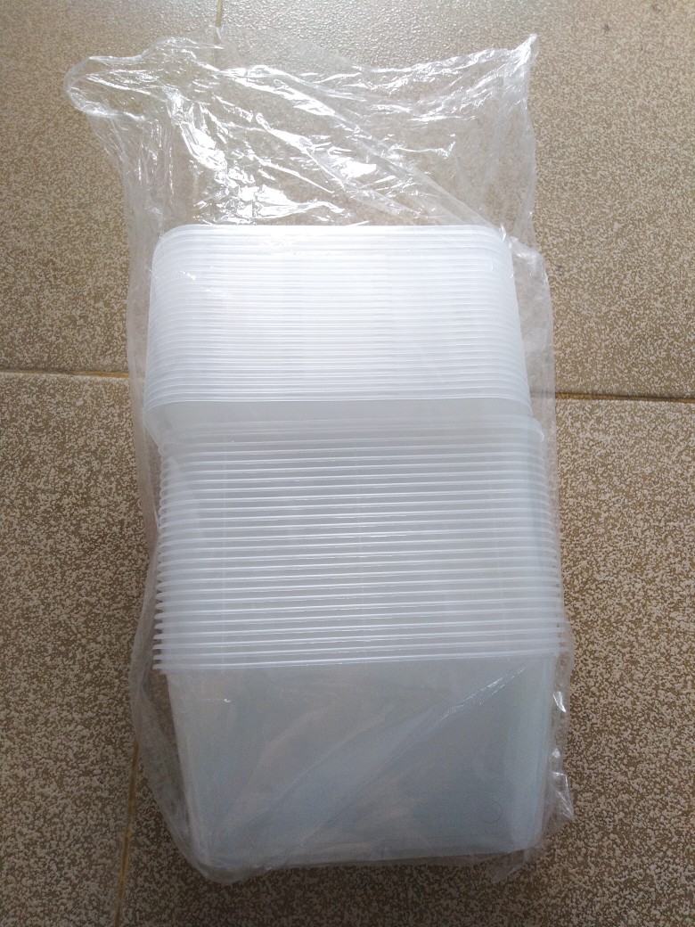 Food Container Wadah Makanan Persegi Panjang Plastik Dengan Tutup Isi 25 Pcs 1000ml