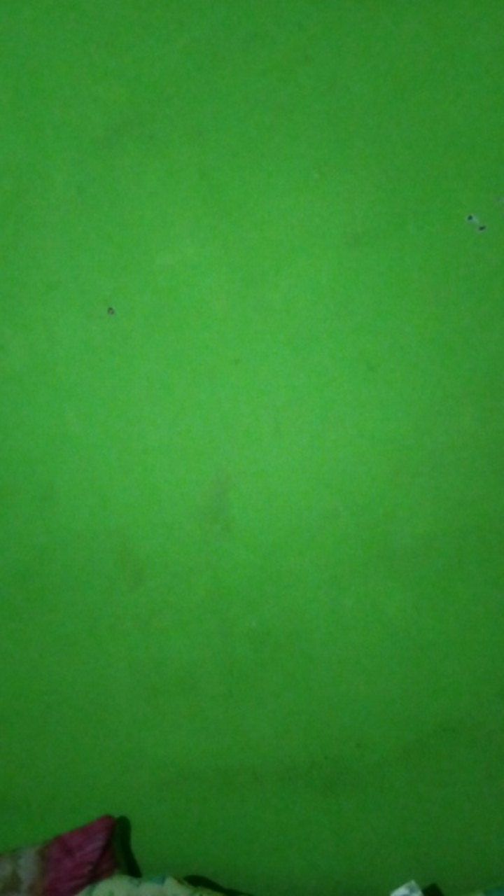 Logo Custom Olshop, Instansi, Perusahaan, Produk. Free Design