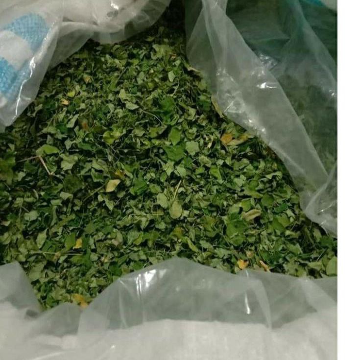 

A5Z2 Daun kelor kering 500 gram CSE