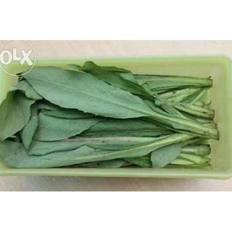 

Fumak 500 - Siomak 500 Super