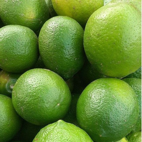 

LEMON CALIFORNIA HIJAU ( Buah sudah tua) 1 KG + JAKARTA BARAT + FRESH