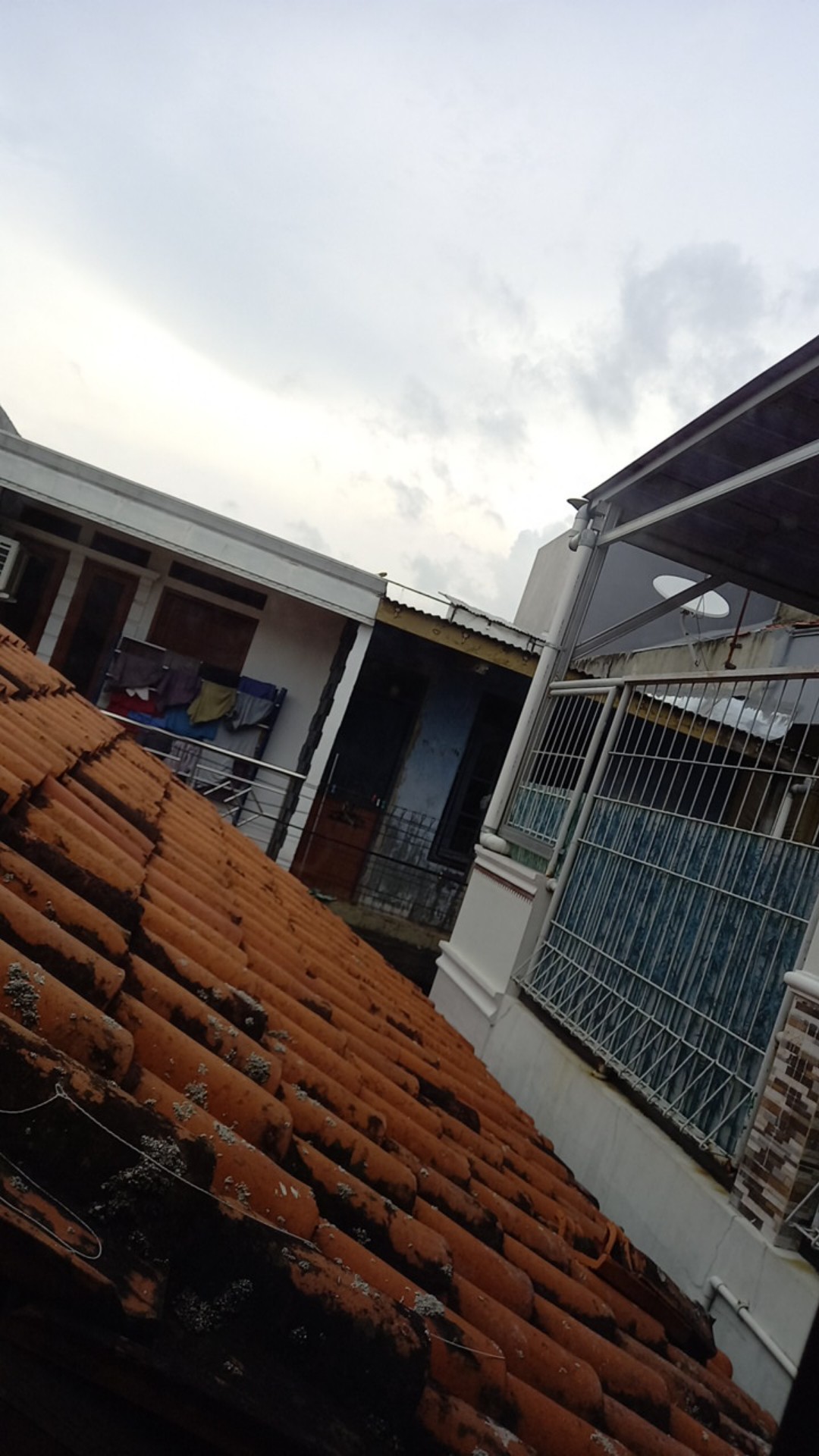 Pot Anggrek Keranjang - Ukuran 10cm