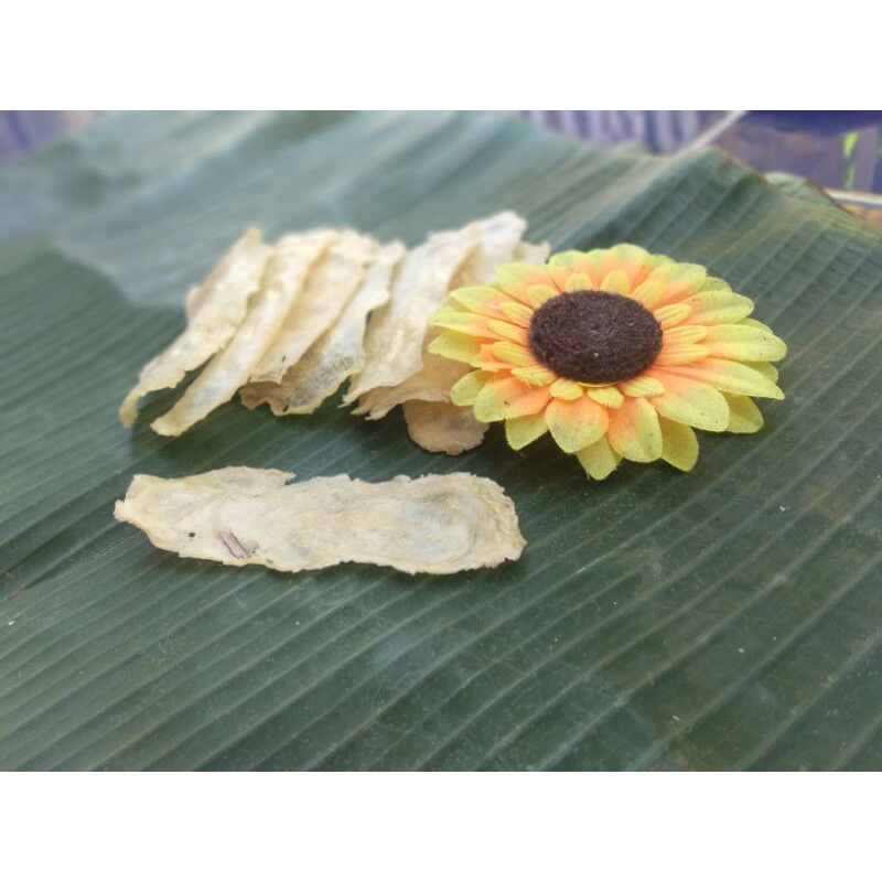 

Kripik Tette (kepeng) Asli Madura (mentah)