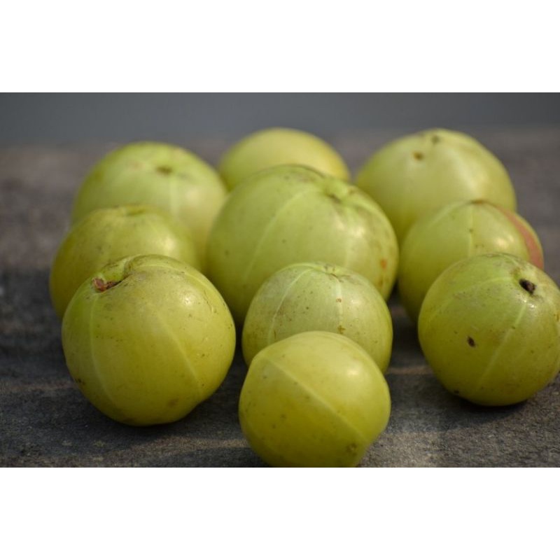 

Buah malaka/buah amla segar obat kanker 1kg