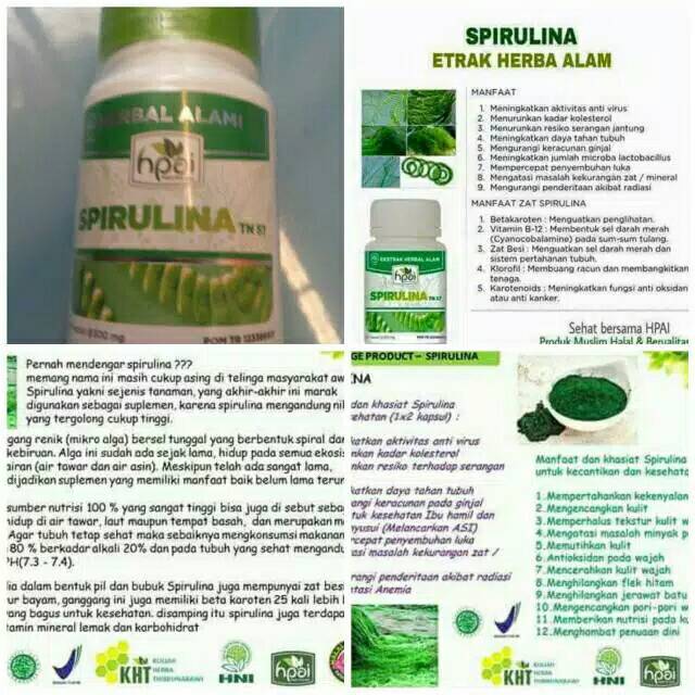 Spirulina hni/ masker spirulina/spirulina ecer