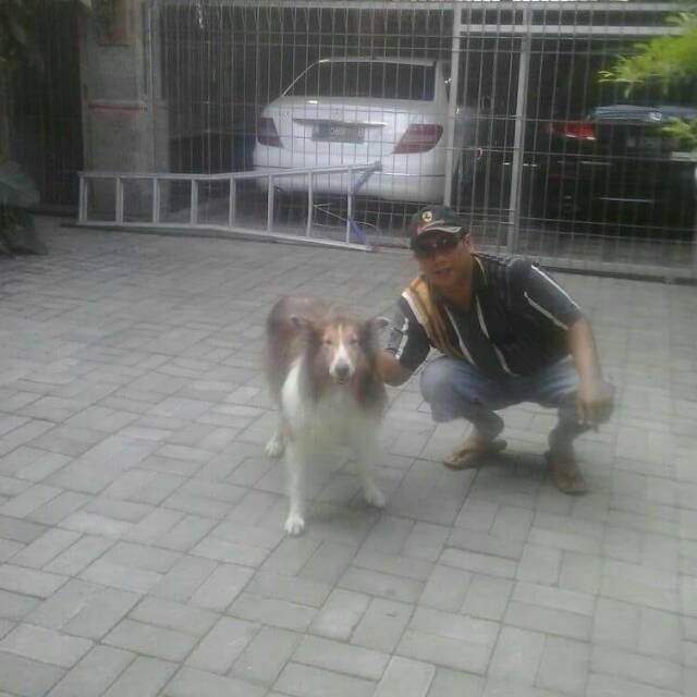 h3bumyacvuzfyp2uisdd16tm0tqh